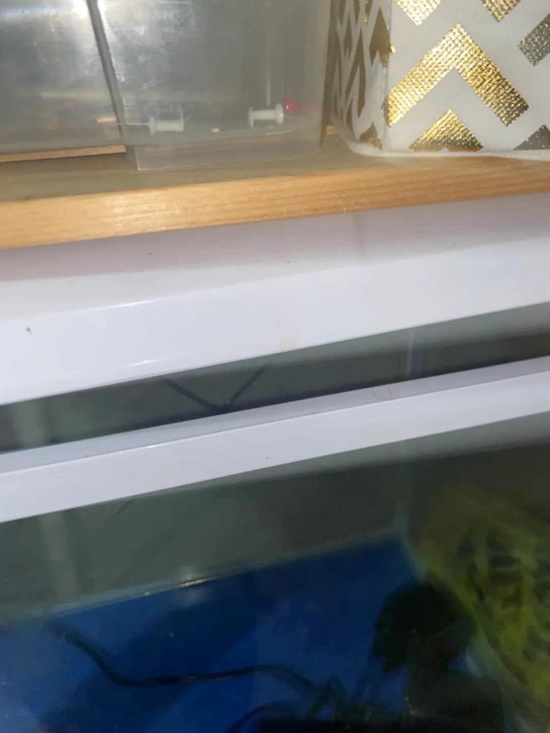 Medium sized Fish Tank with Filter image indicator(4)