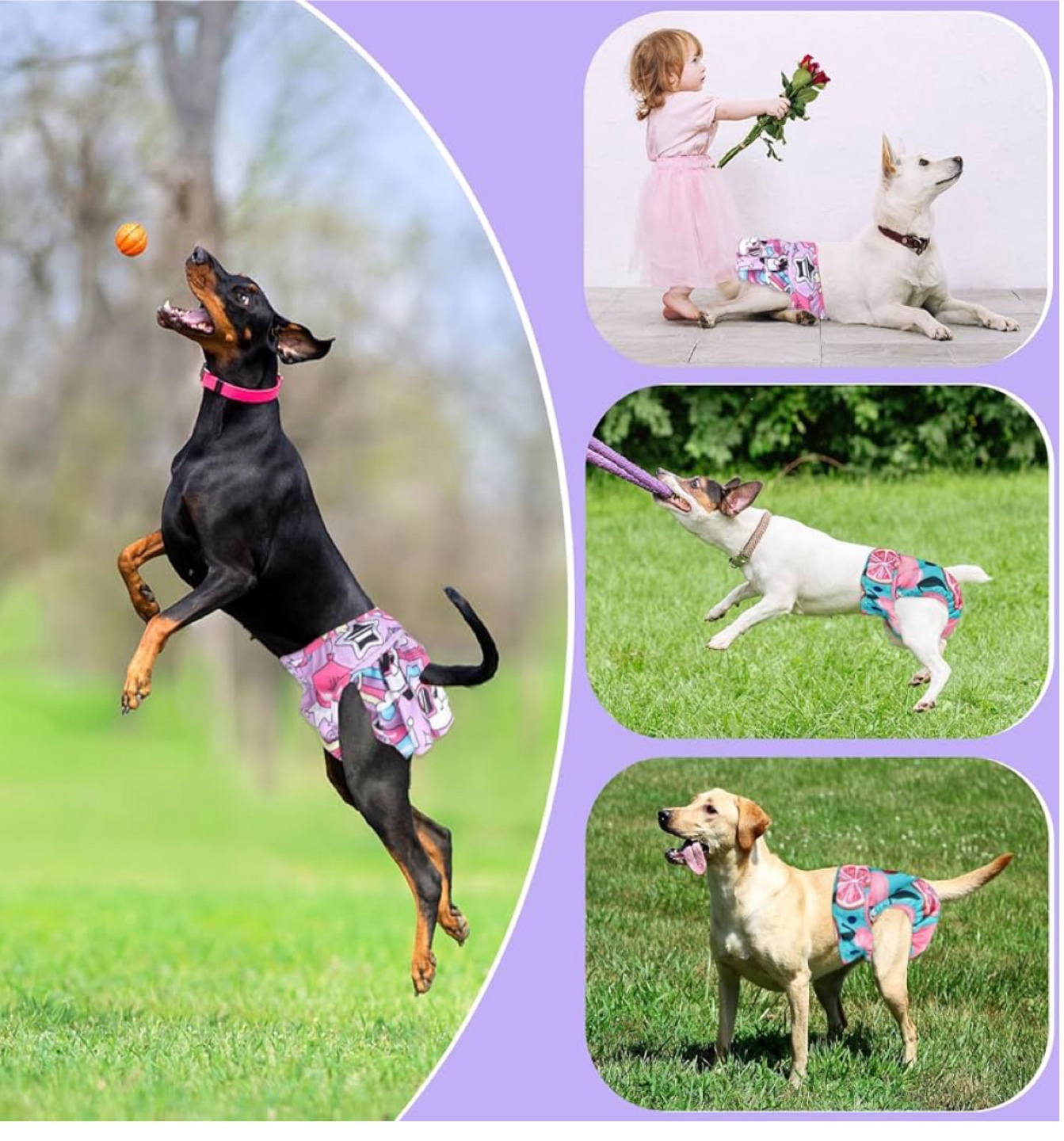 Reusable Female Dog Diapers - 4 Pack - photo 2