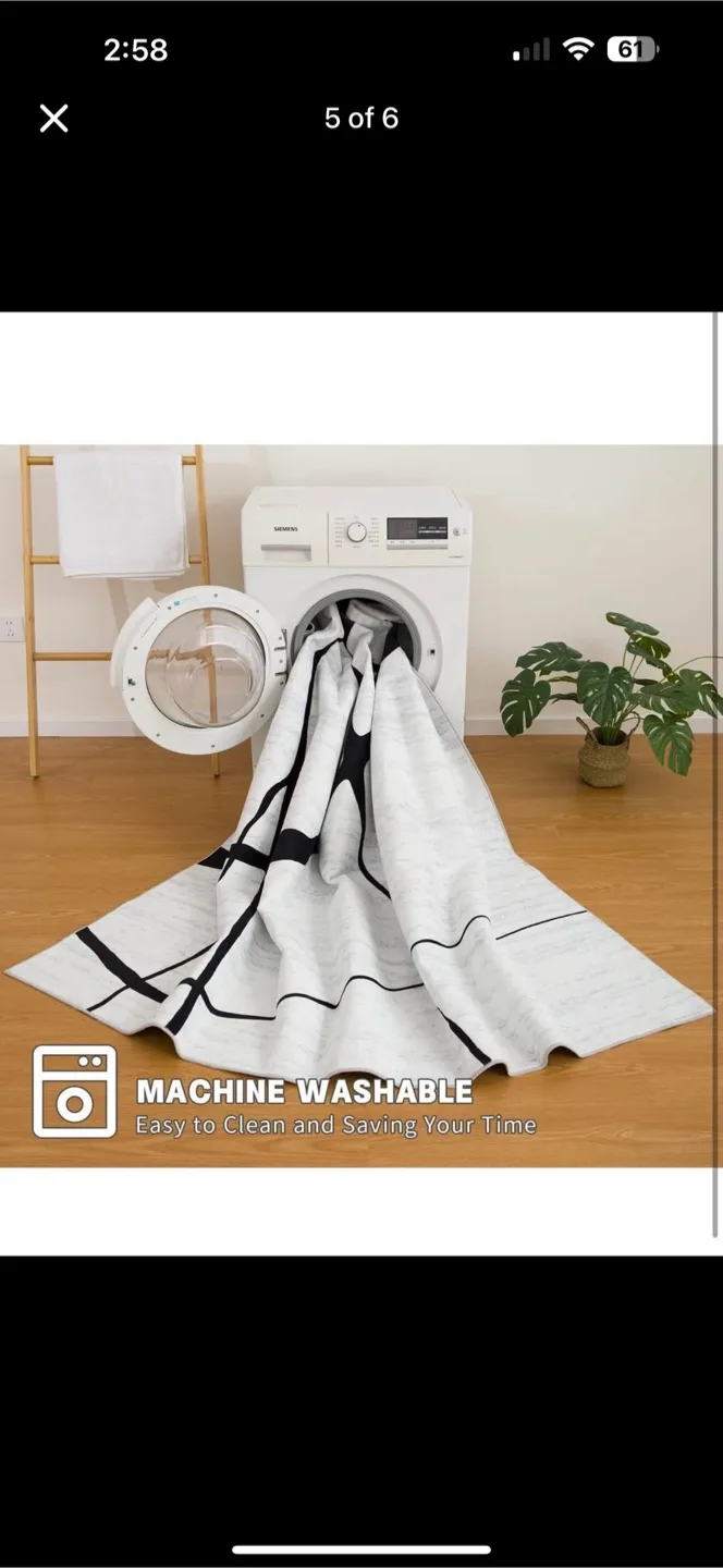 Area Rug 8x10  Machine Washable Rugs Modern Neutral Rug image indicator(5)