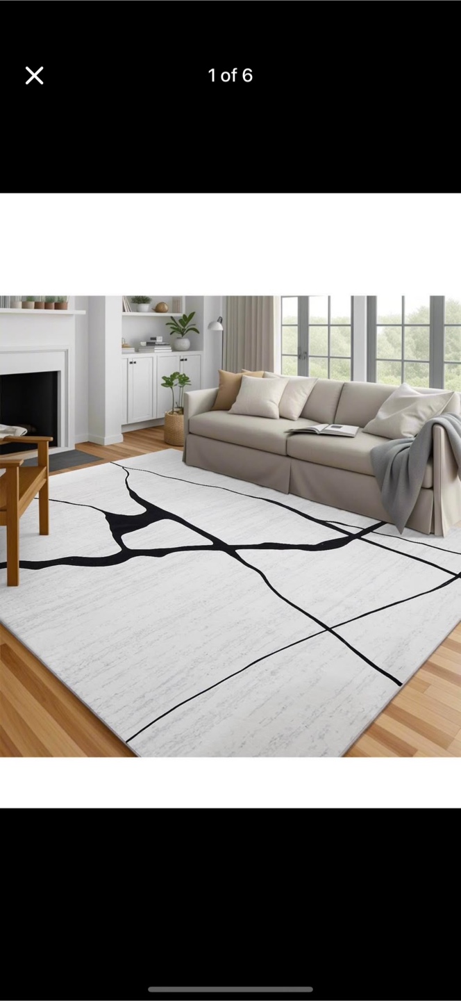 Area Rug 8x10  Machine Washable Rugs Modern Neutral Rug