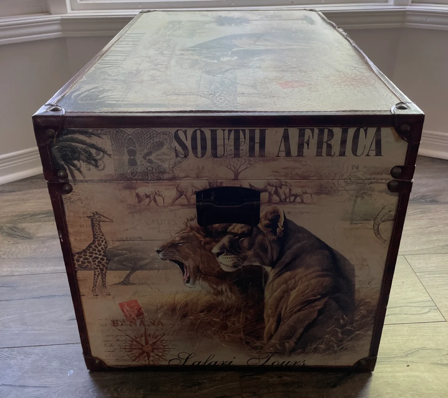 🏒Safari Decor Trunk - South Africa Theme image indicator(2)