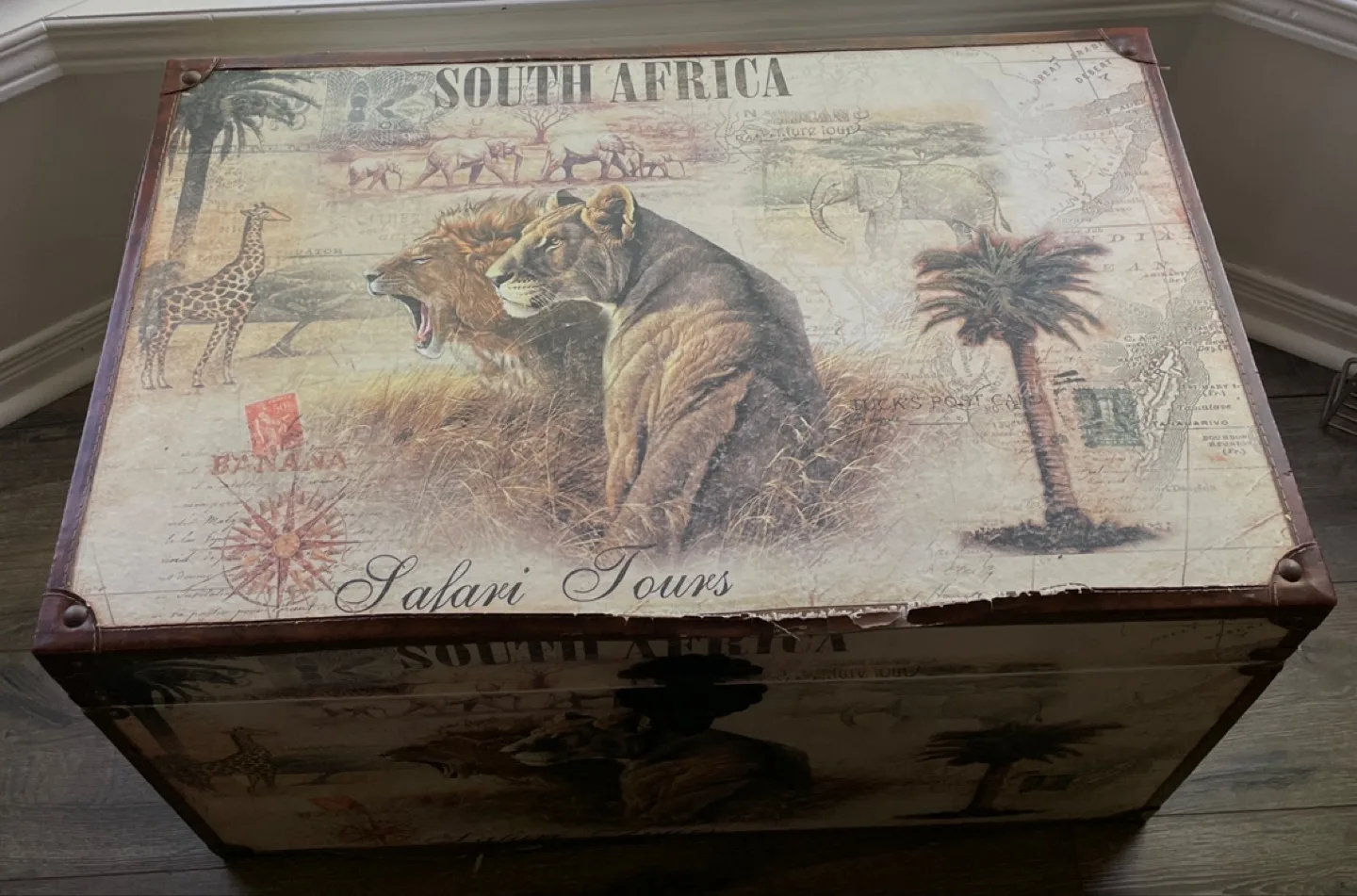 🏒Safari Decor Trunk - South Africa Theme image indicator(5)