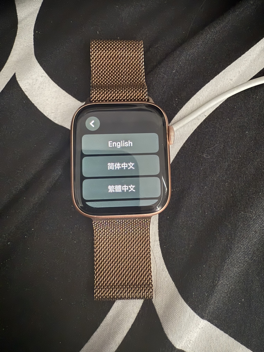 Apple Watch Series 5 Gold Aluminium Case with Milanese Band - photo 3