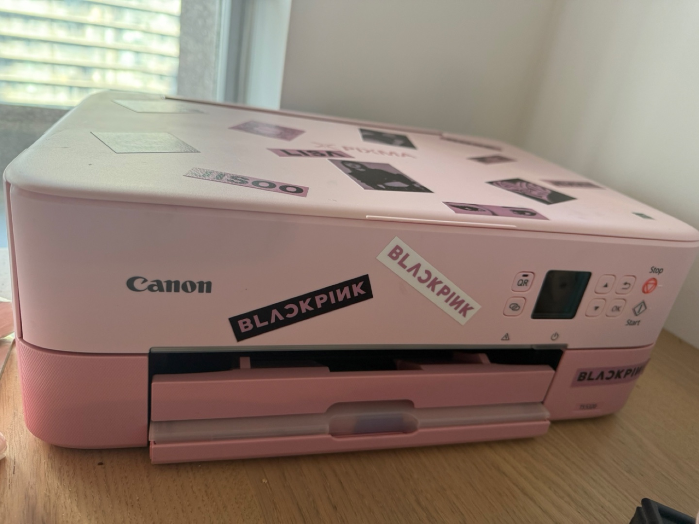 Canon PIXMA Pink All-in-One Printer