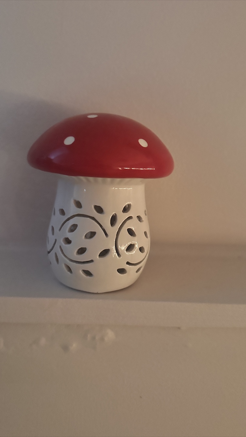 Adorable Mushroom Night Light