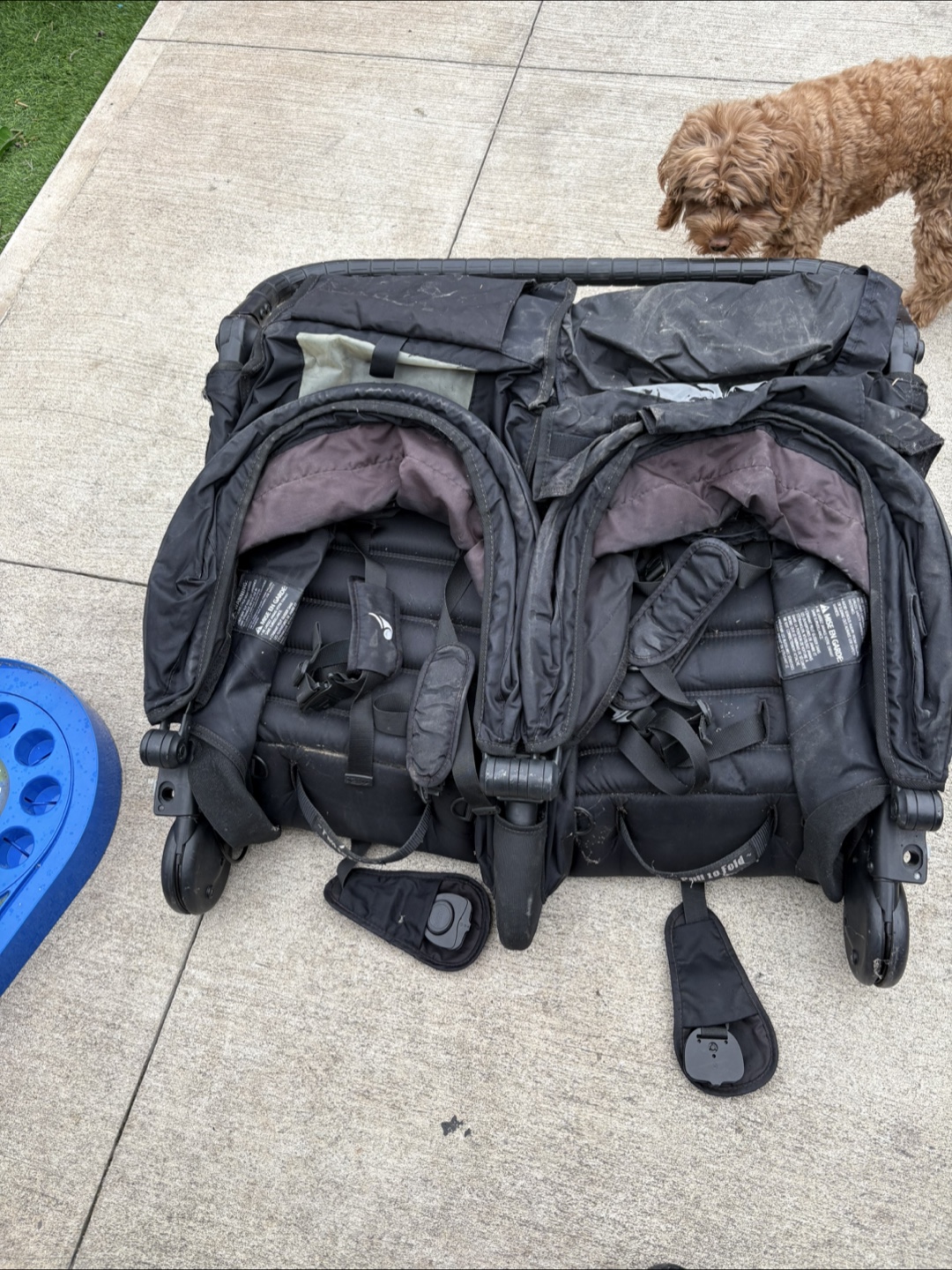 Used City Mini GT Double Stroller - photo 2
