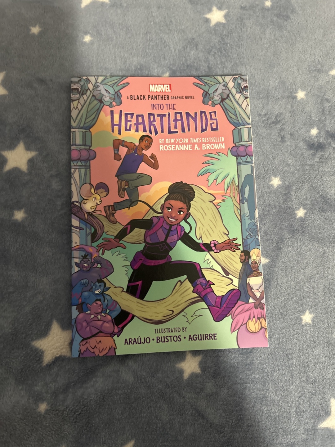 Black Panther: Into the Heartlands Graphic Novel. 🏒