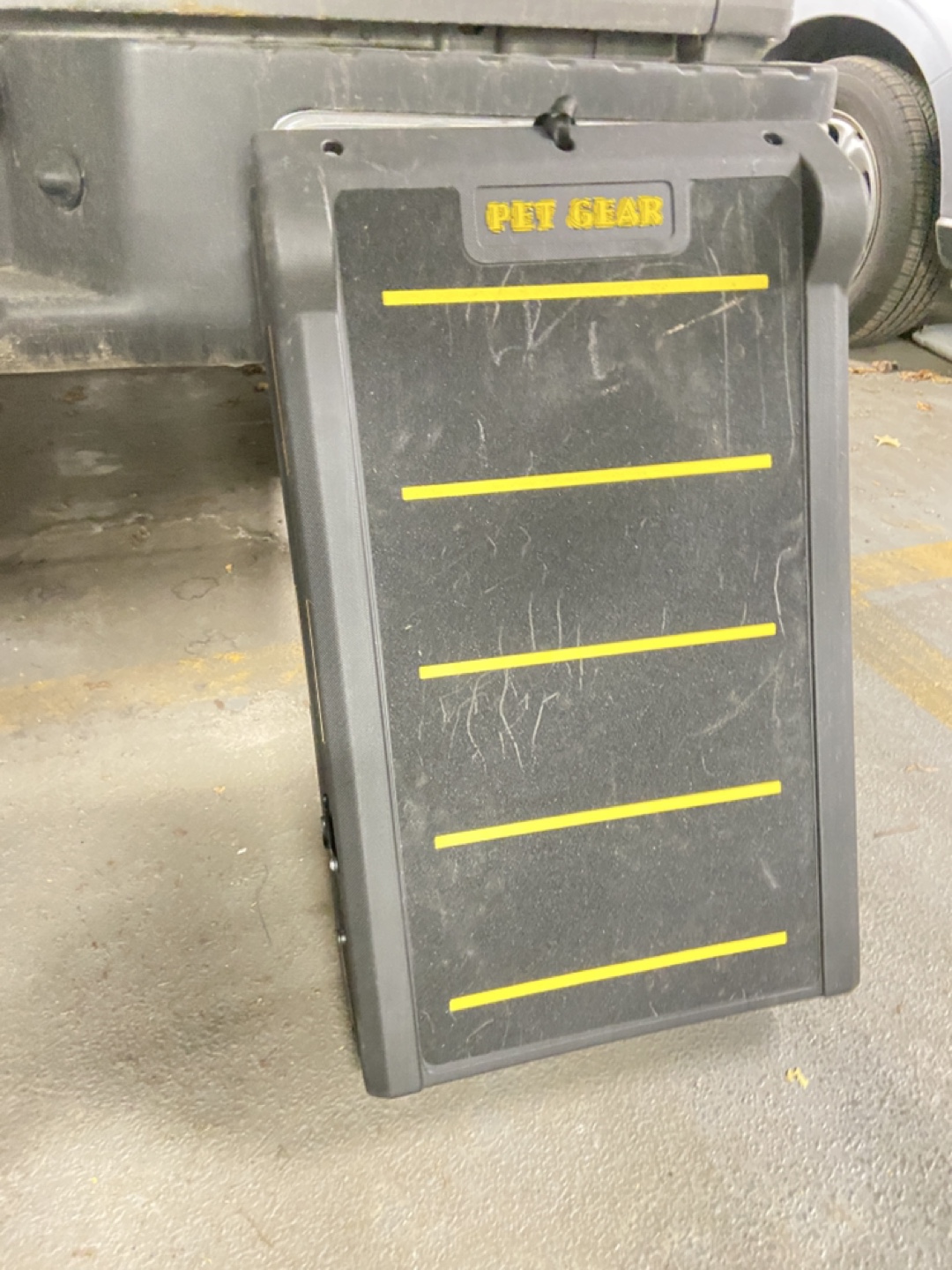 Pet ramp