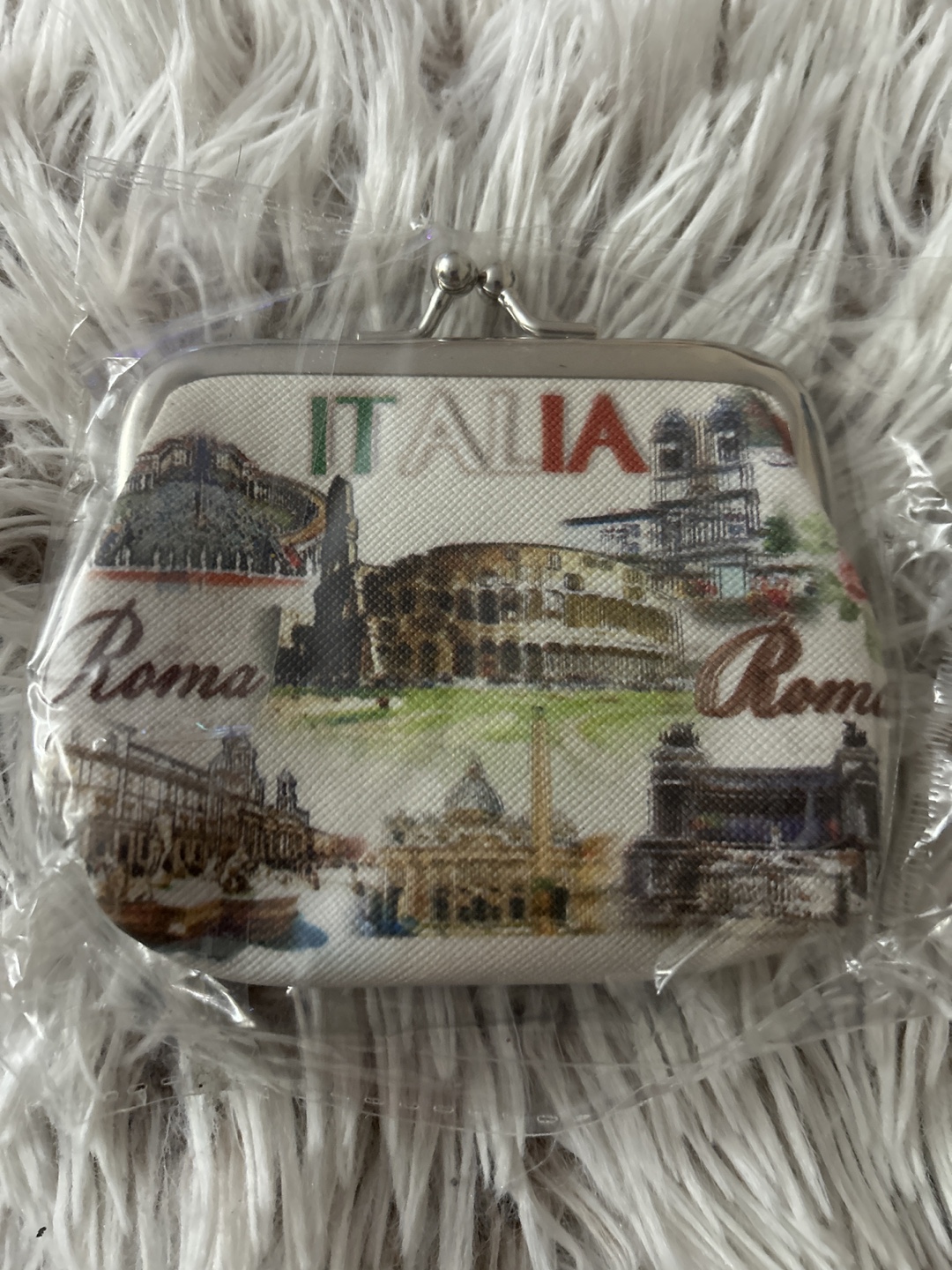 🏒 Italian Landmark Coin Purse