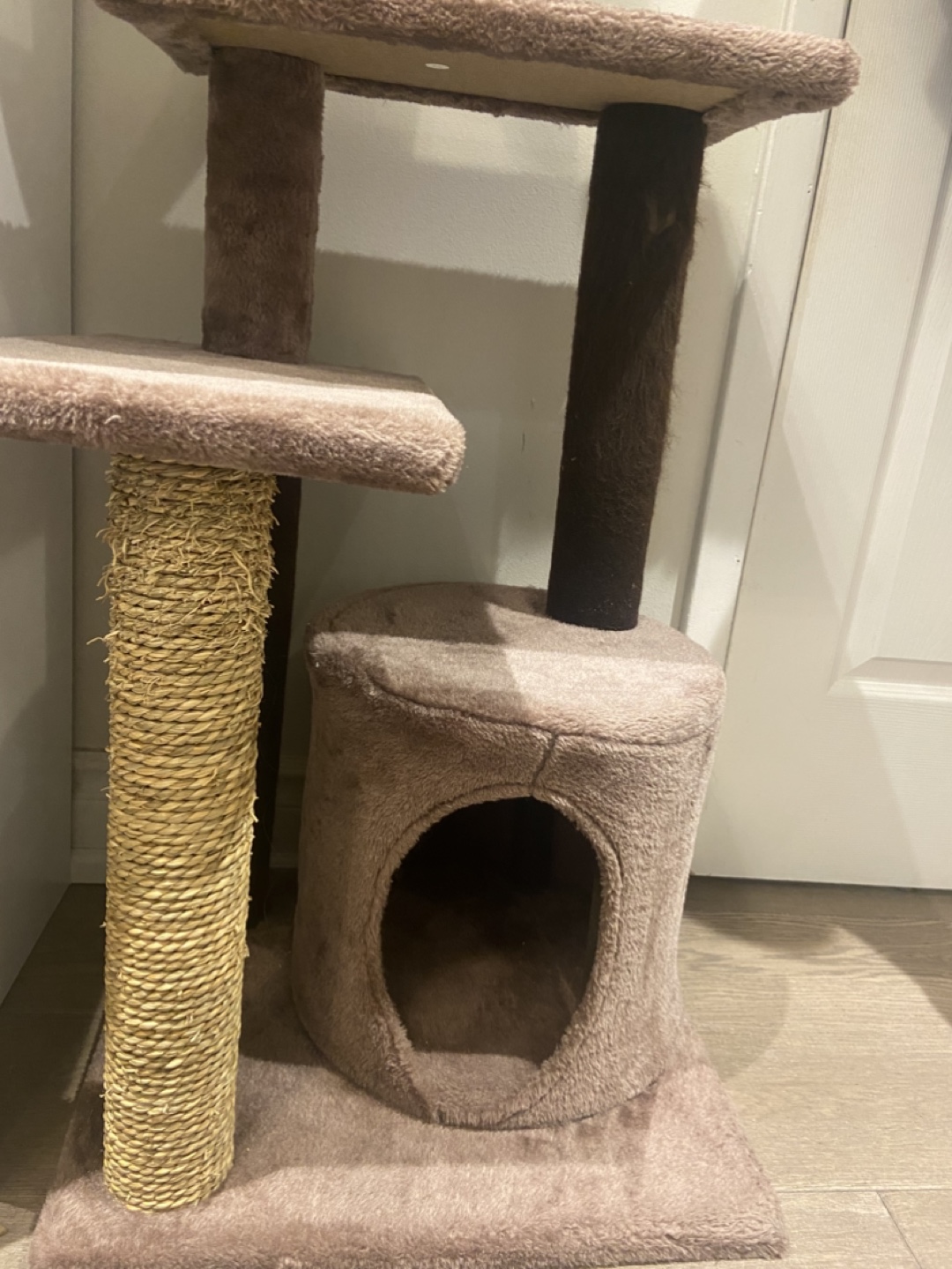 Cat Tree Condo - photo 4