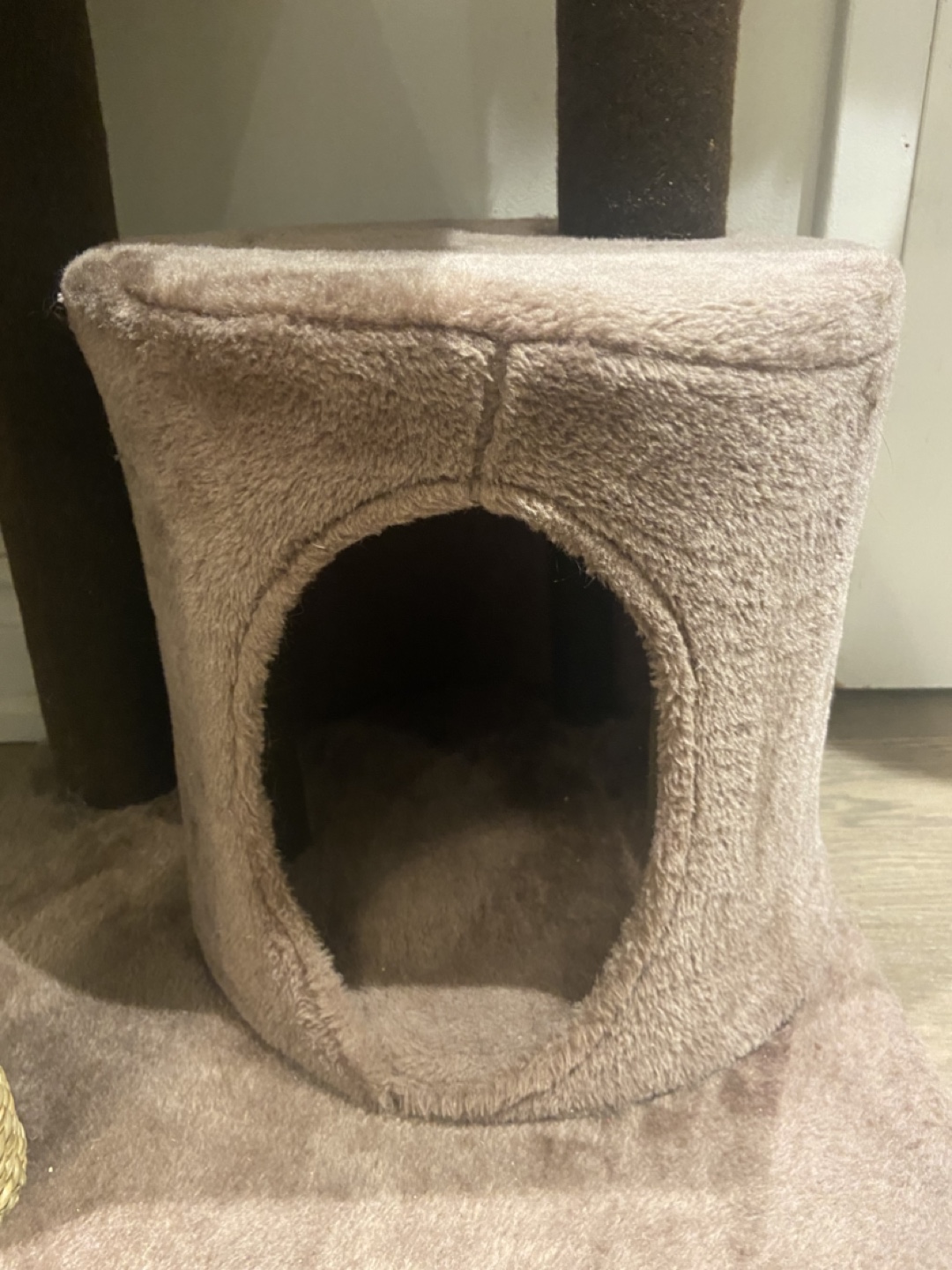 Cat Tree Condo - photo 3