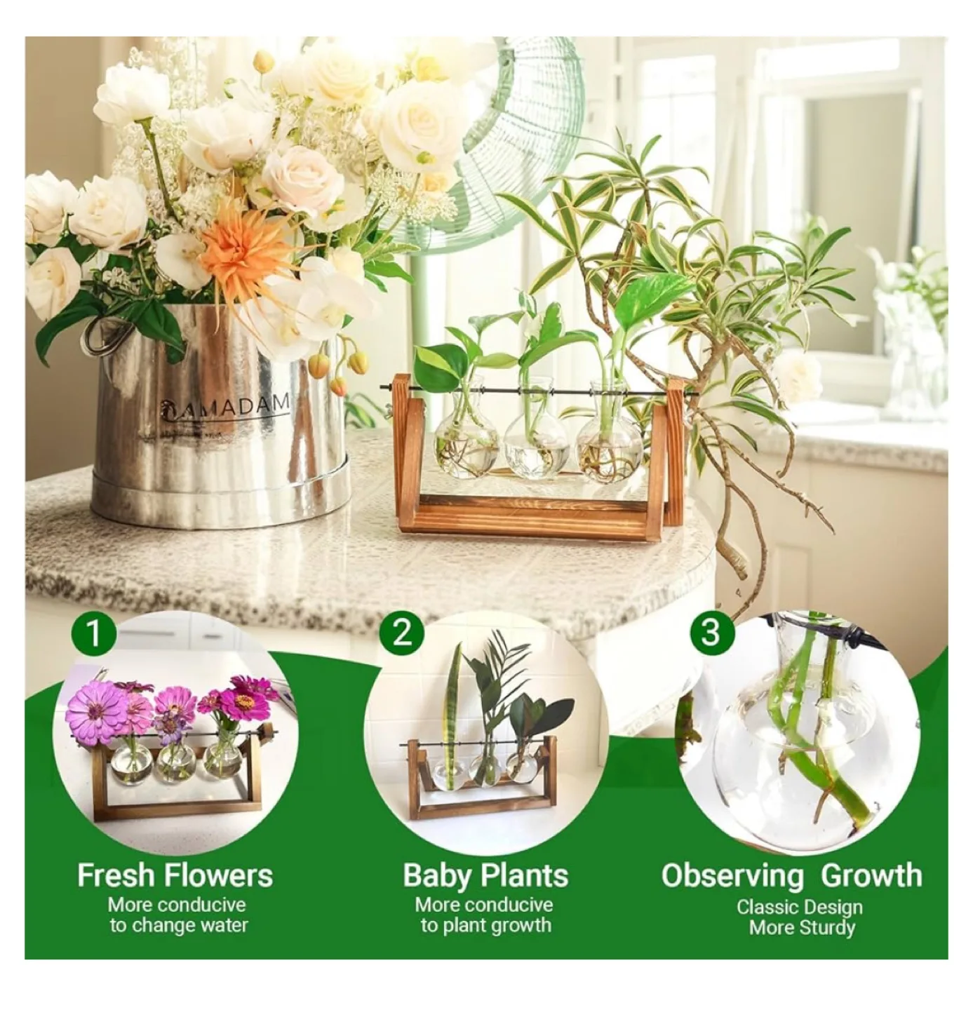 IVOADOR Desktop Glass Planter, 3 Bulb Vase image indicator(5)