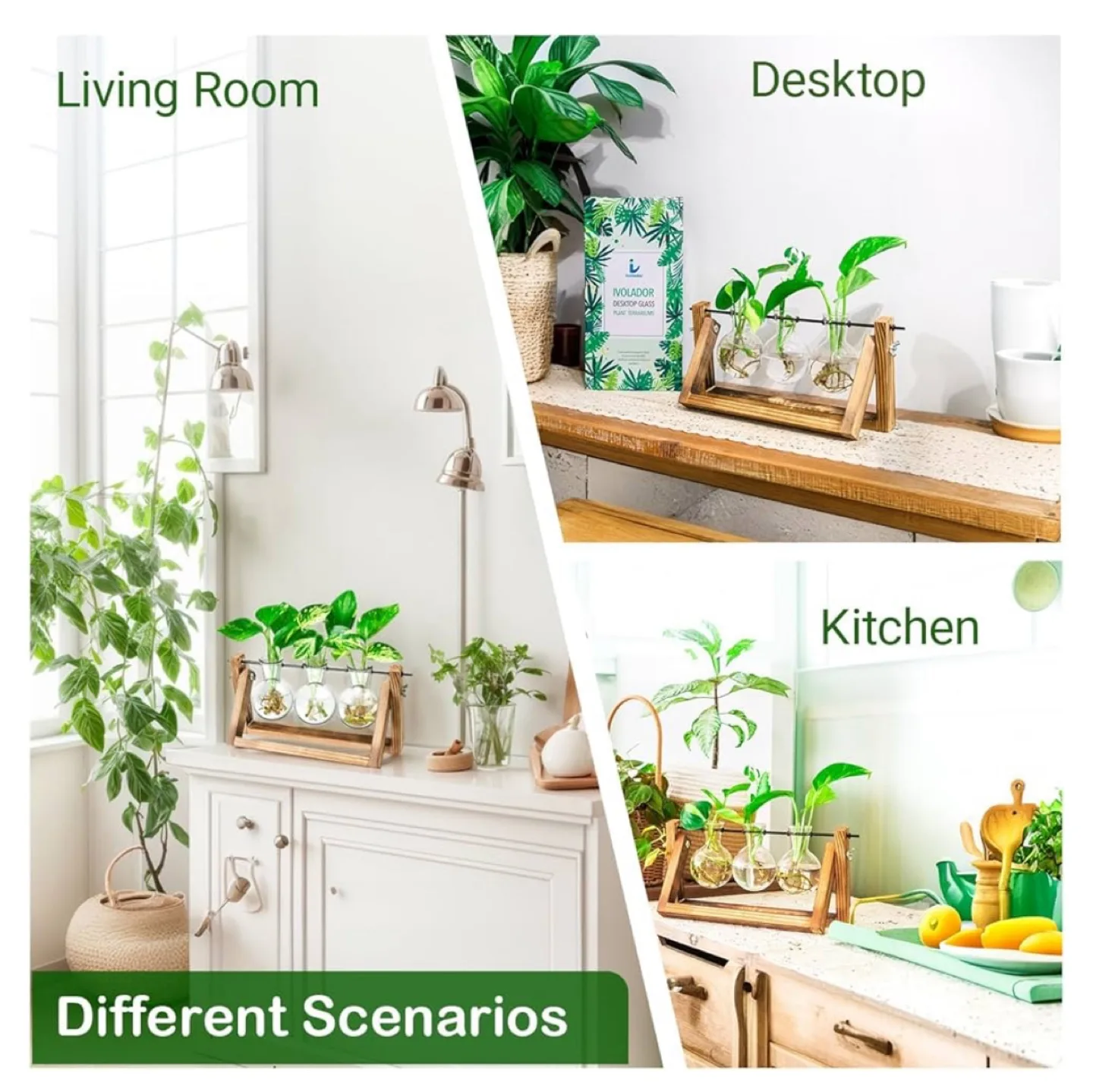 IVOADOR Desktop Glass Planter, 3 Bulb Vase image indicator(6)