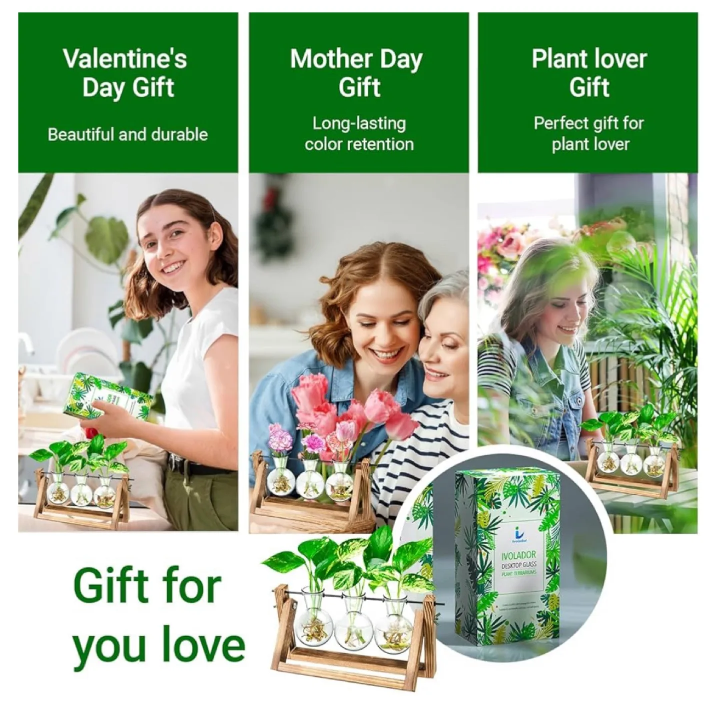 IVOADOR Desktop Glass Planter, 3 Bulb Vase image indicator(7)