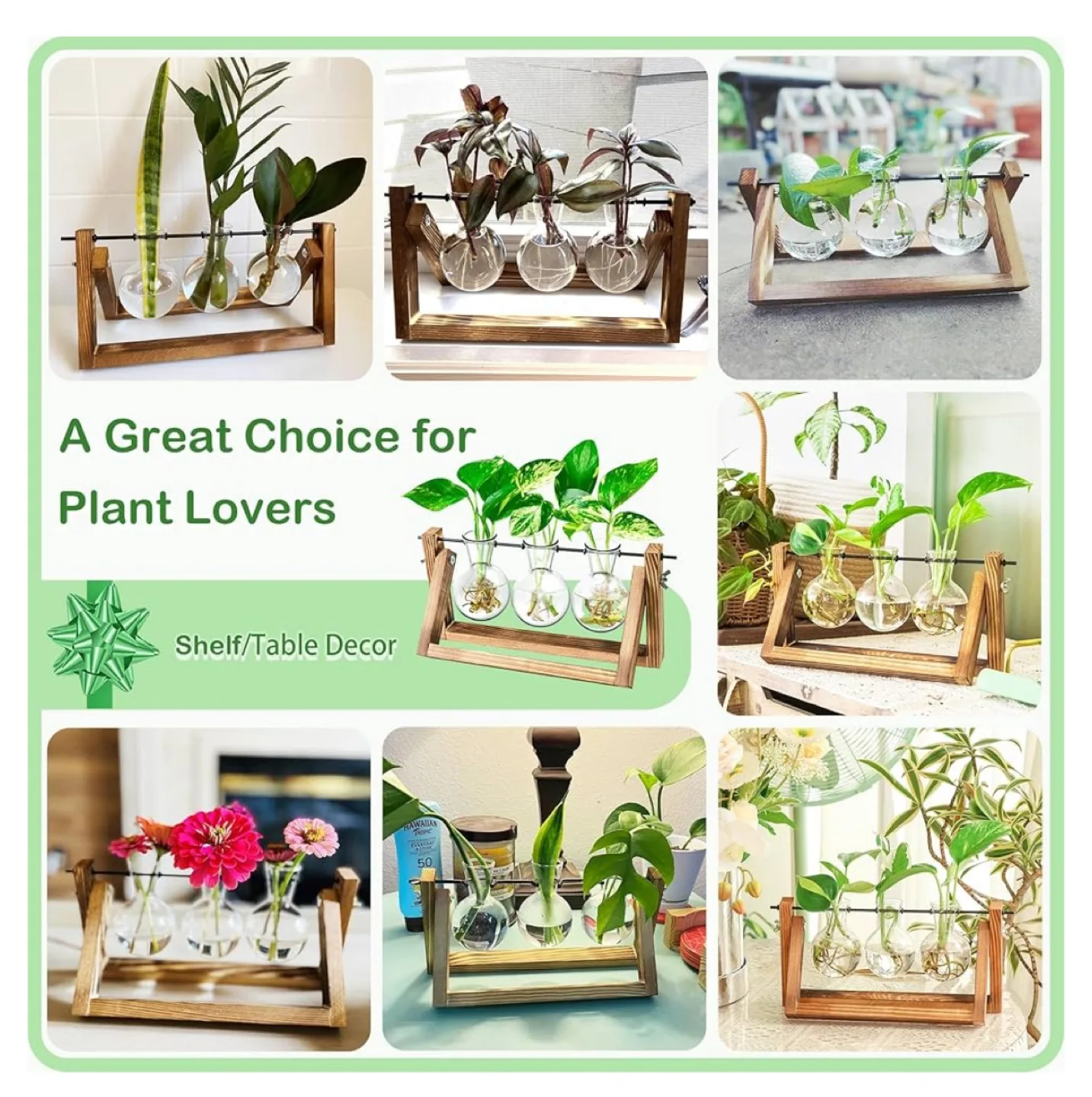 IVOADOR Desktop Glass Planter, 3 Bulb Vase image indicator(8)