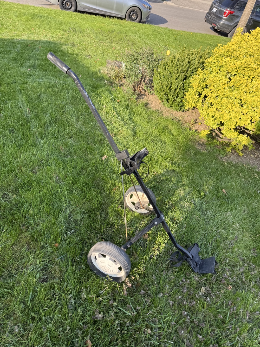 Golf Cart & Bags - Used - photo 4