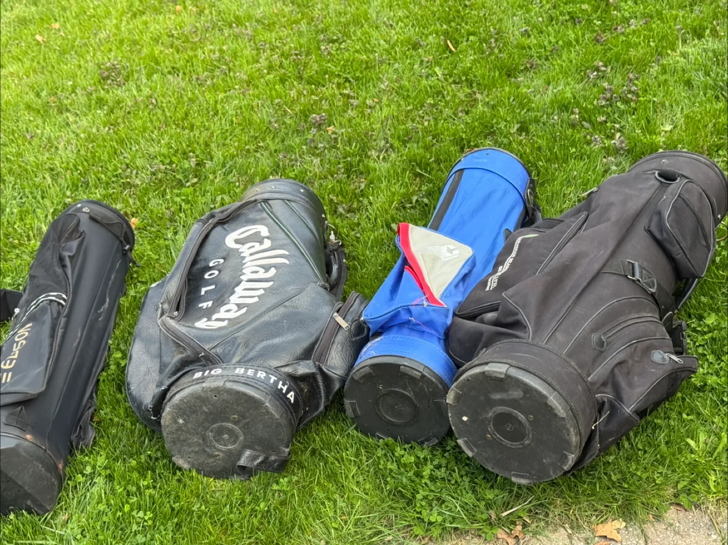 Golf Cart & Bags - Used