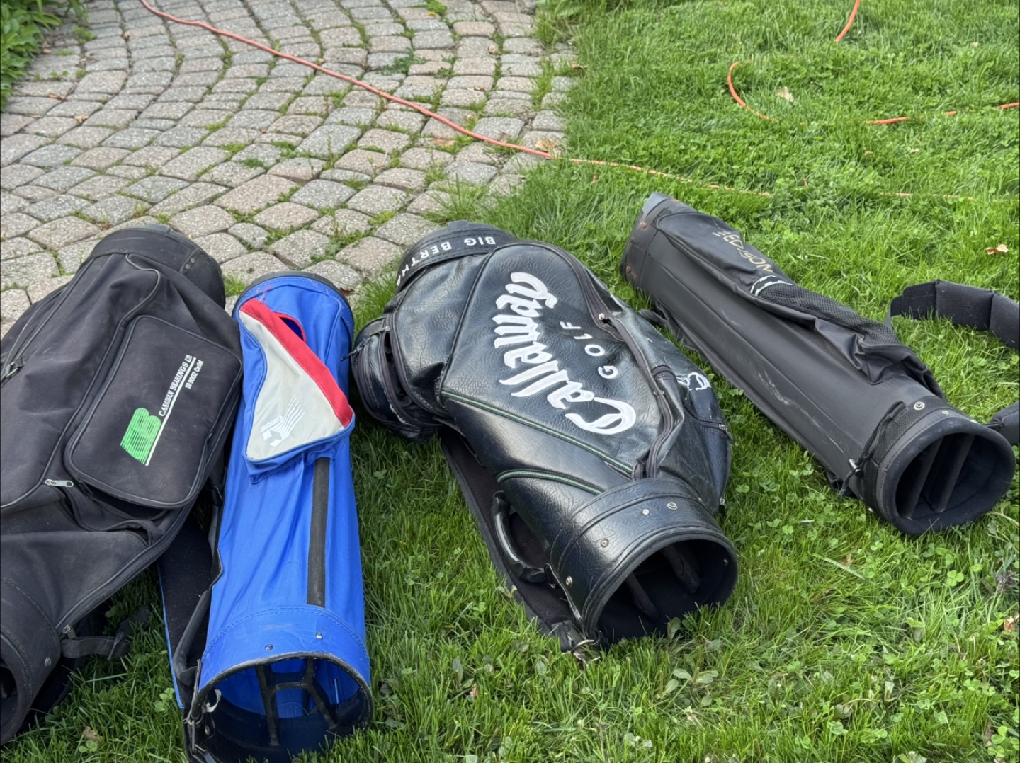 Golf Cart & Bags - Used - photo 2