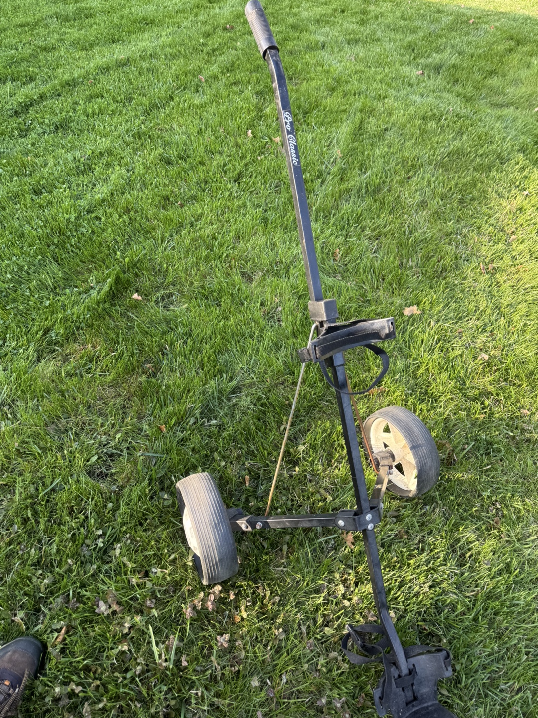 Golf Cart & Bags - Used - photo 3