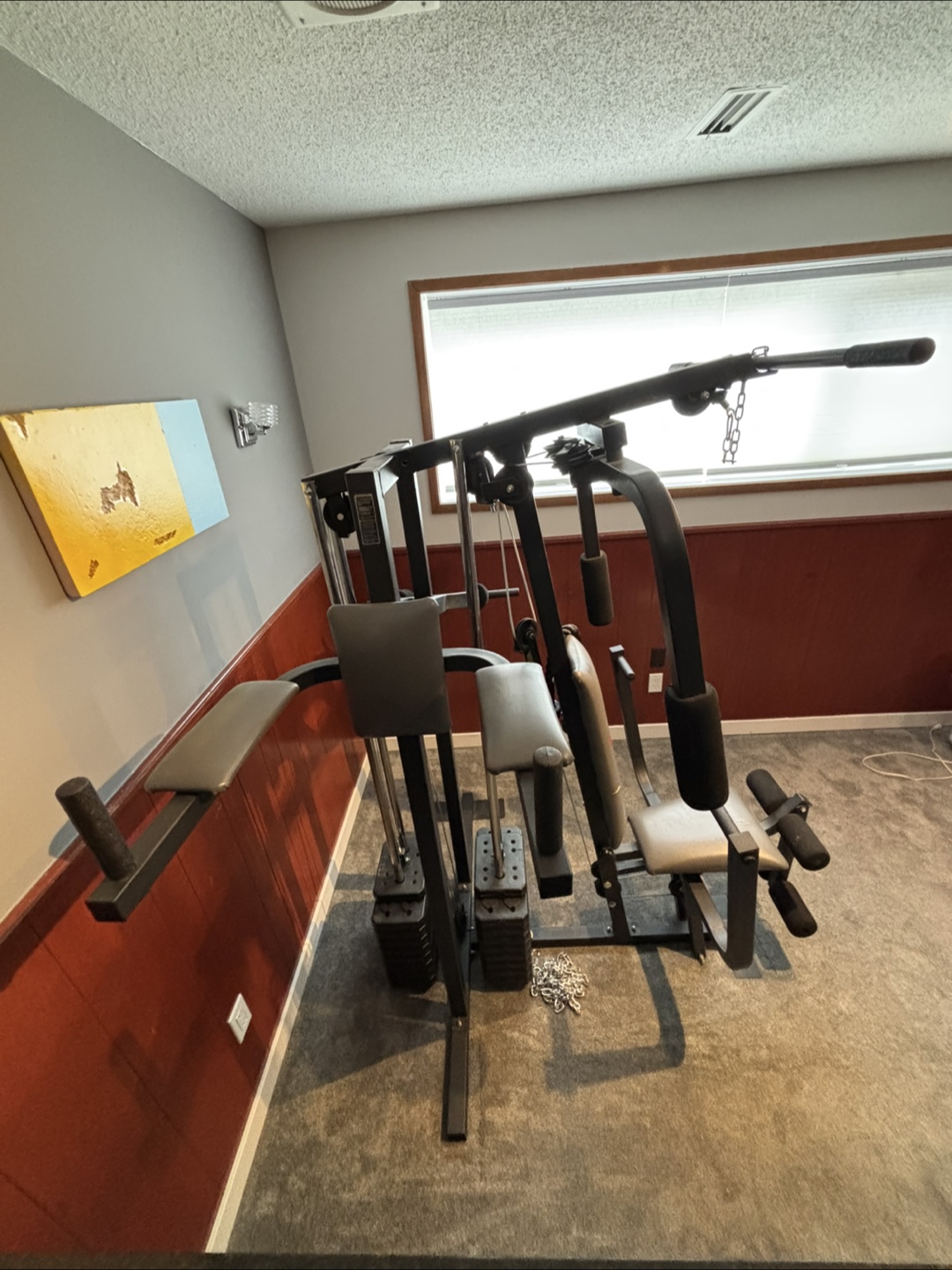Weider 8530 Home Gym - photo 2