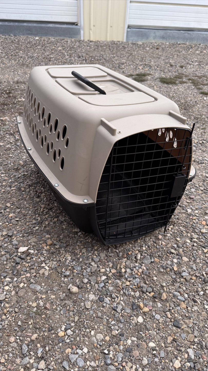 Pet Carrier Travel