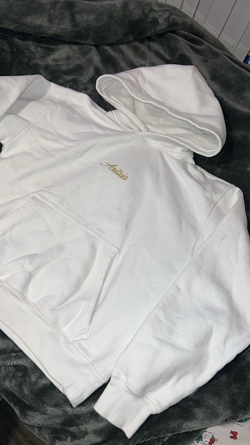 Aritzia perfect fit hoodie