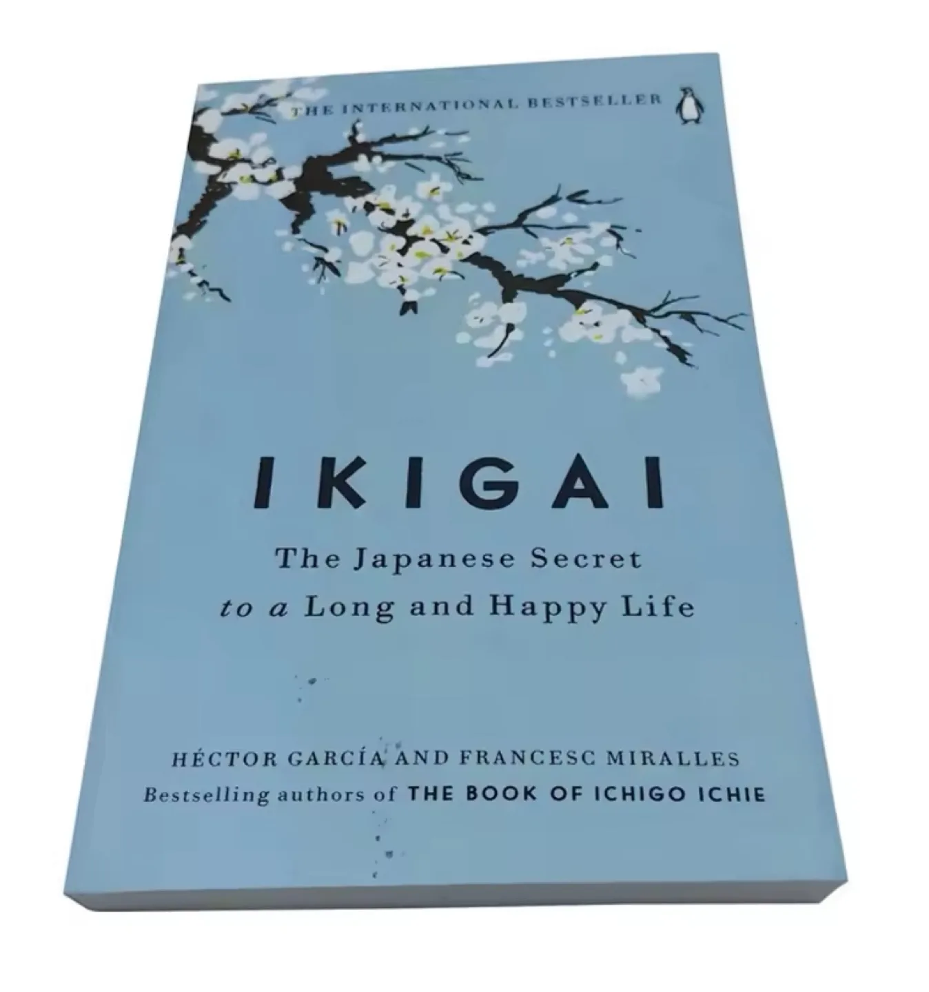 ikigai thumbnail