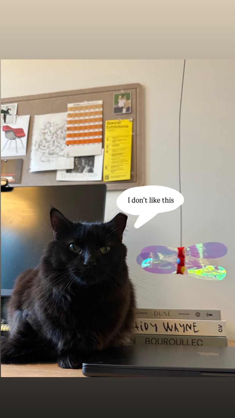 Cat Toys - Set of 4 🥕 - photo 2