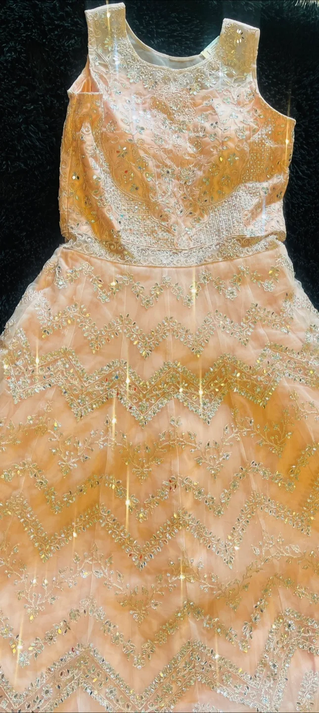 Gorgeous Peach Embellished Gown image indicator(3)
