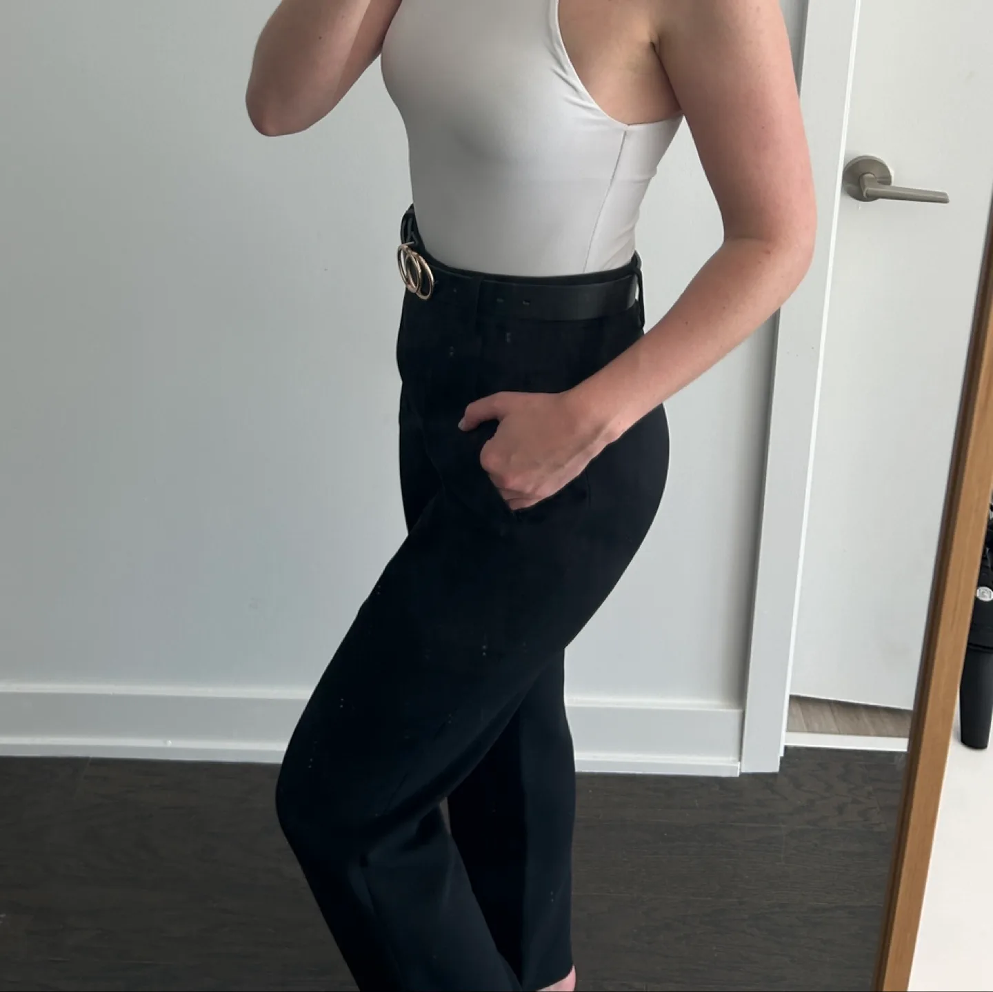 Black Aritzia Trousers image indicator(3)