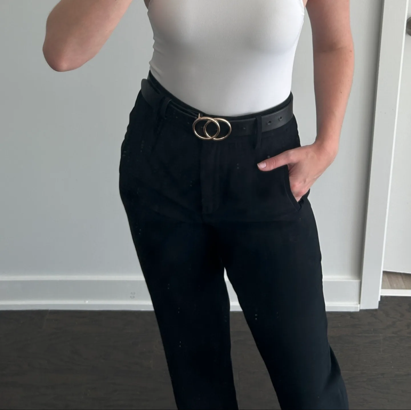 Black Aritzia Trousers image indicator(4)