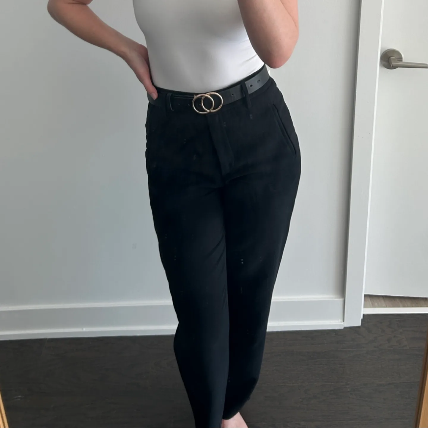 Black Aritzia Trousers image indicator(5)