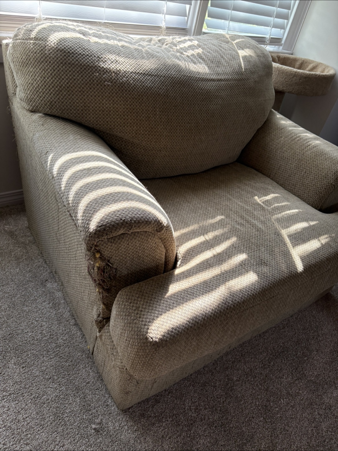 Sofa Chair - photo 2