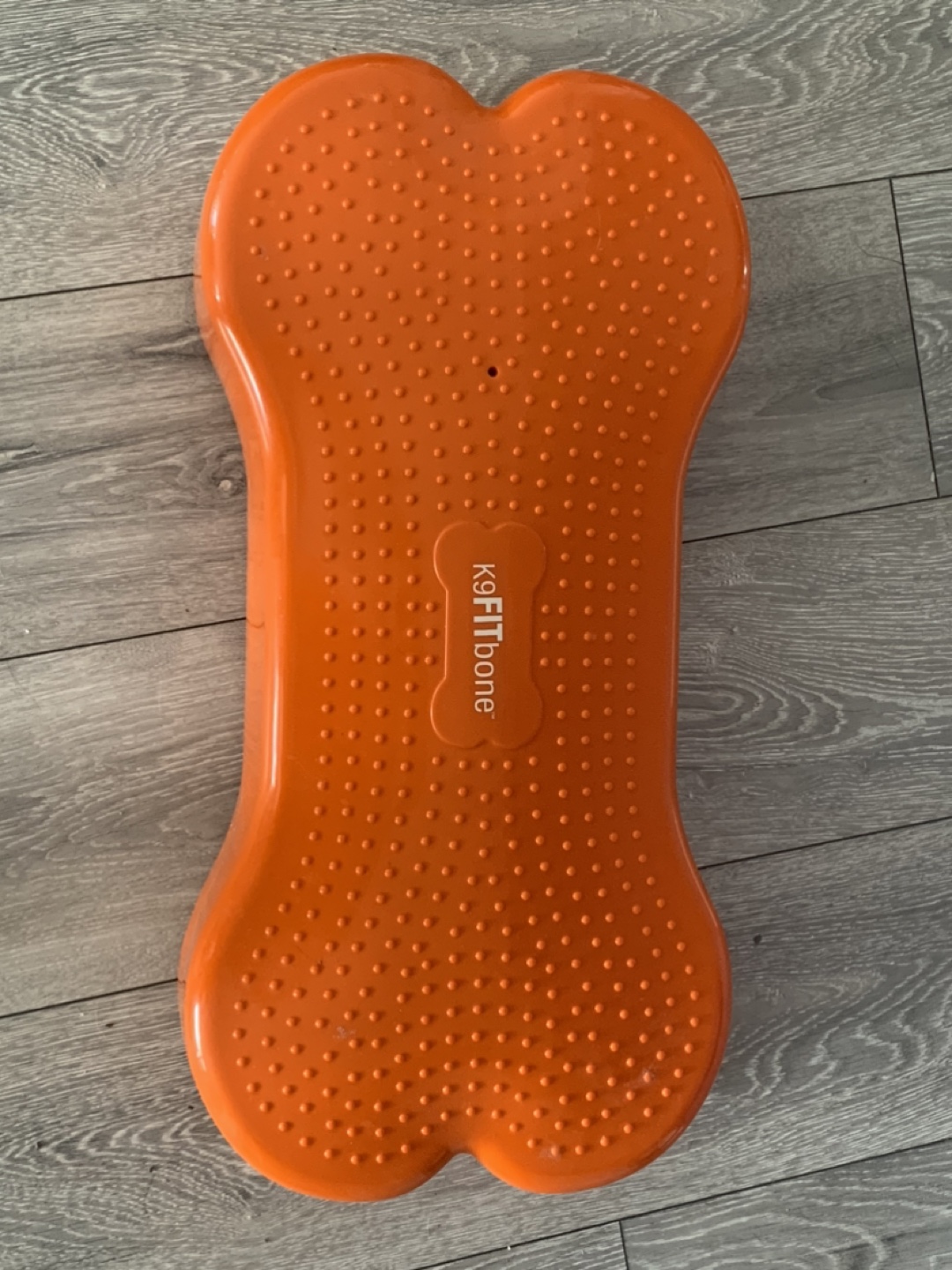 K9FitBone Step Platform - Orange