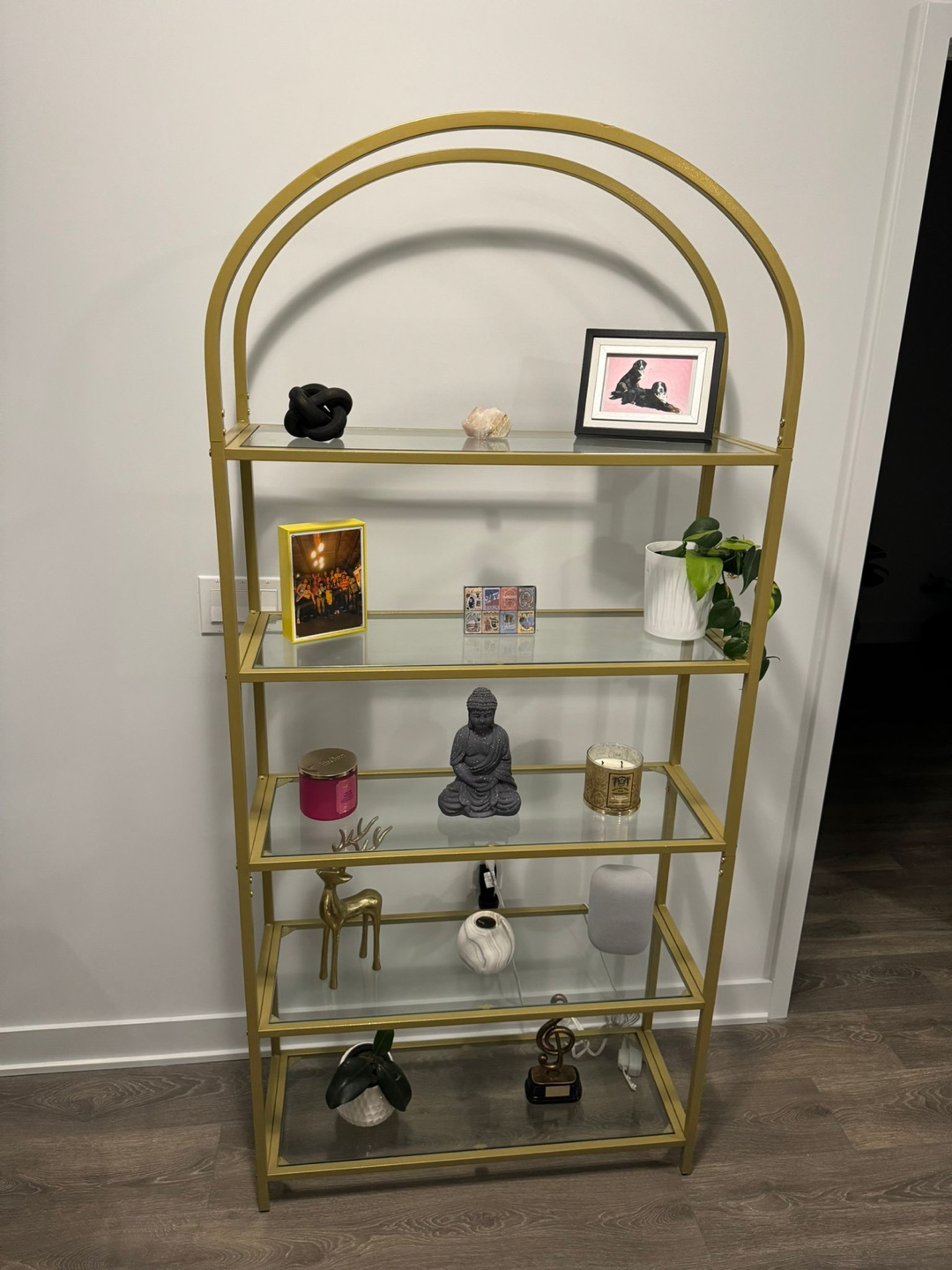 Gold and Glass Bookcase