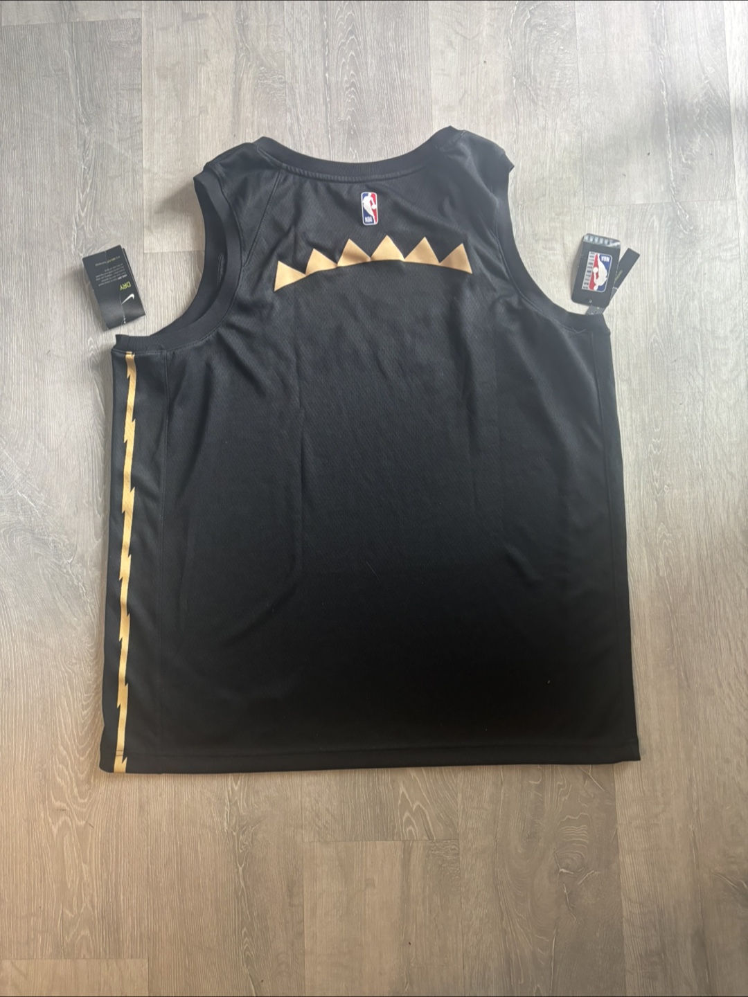 Nike Toronto Raptors City Edition Jersey - photo 2