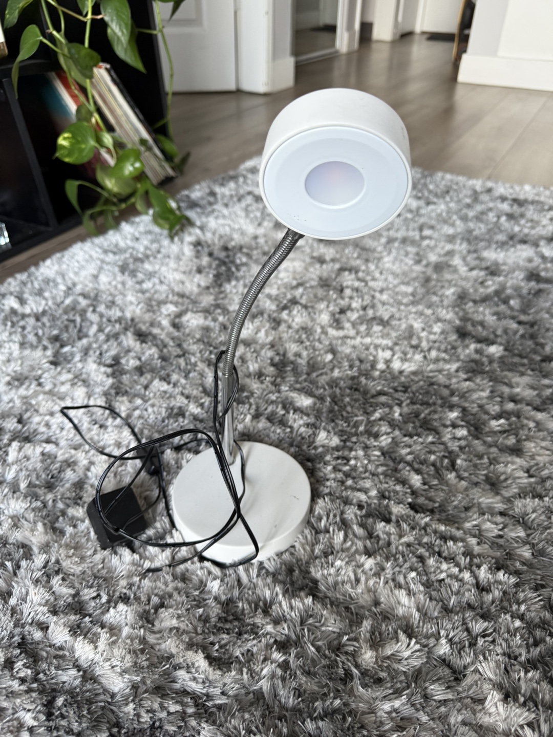 White LED Desk Lamp with Gooseneck