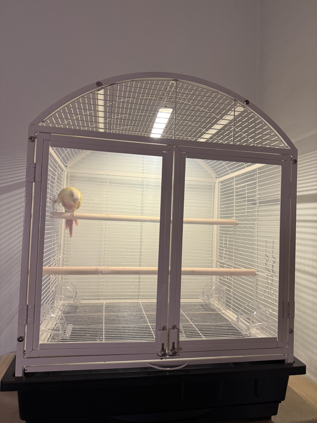 New White Metal Bird Cage with Open Top