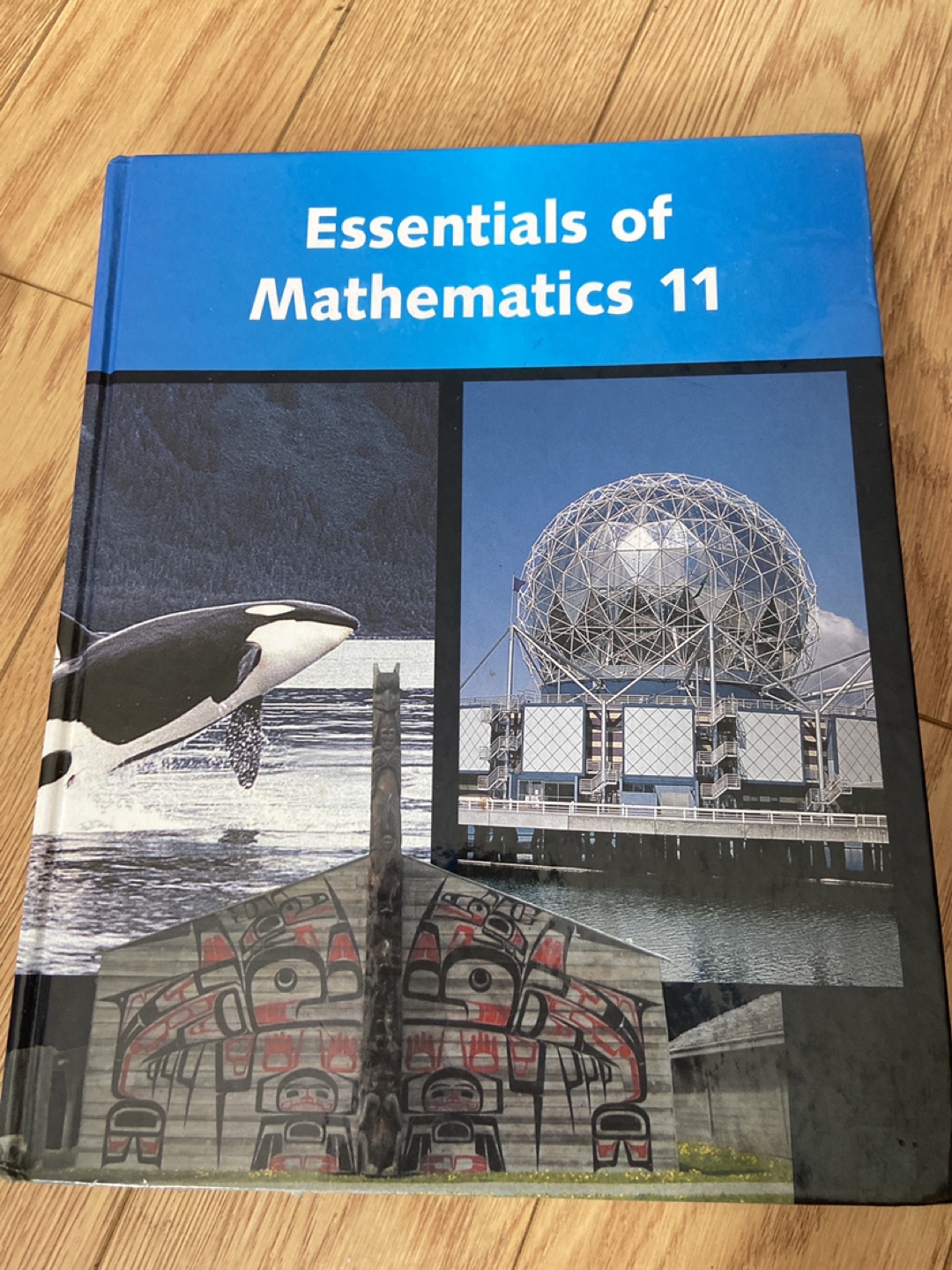 Essentials of Mathematics 11 Textbook