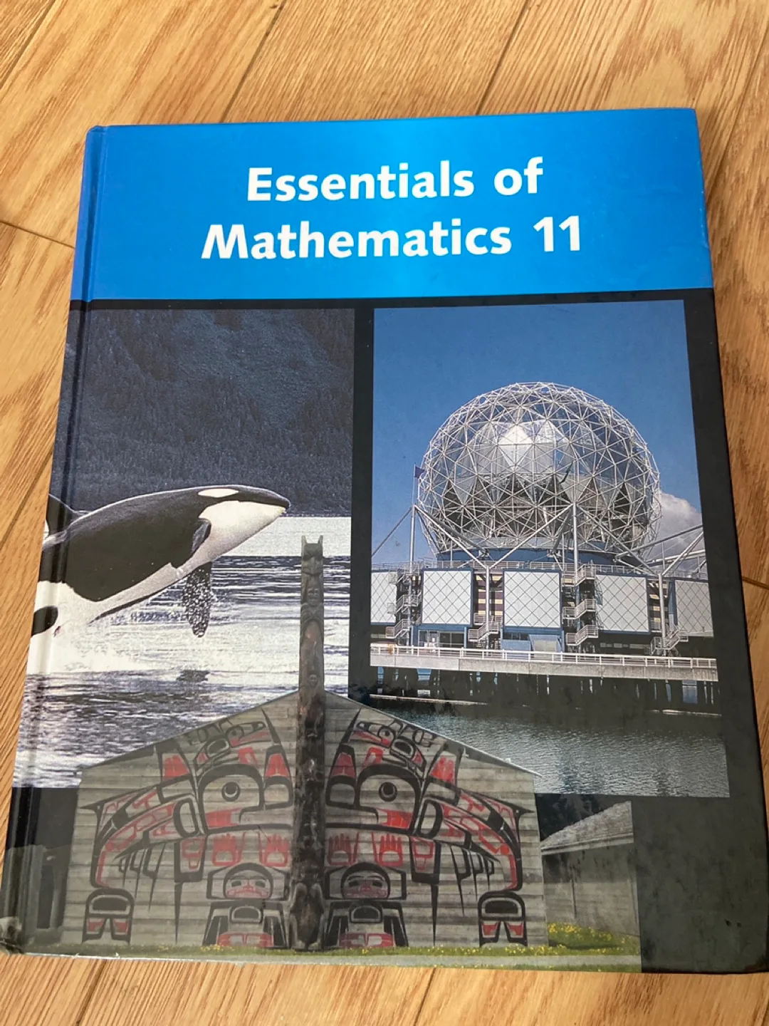 Essentials of Mathematics 11 Textbook thumbnail