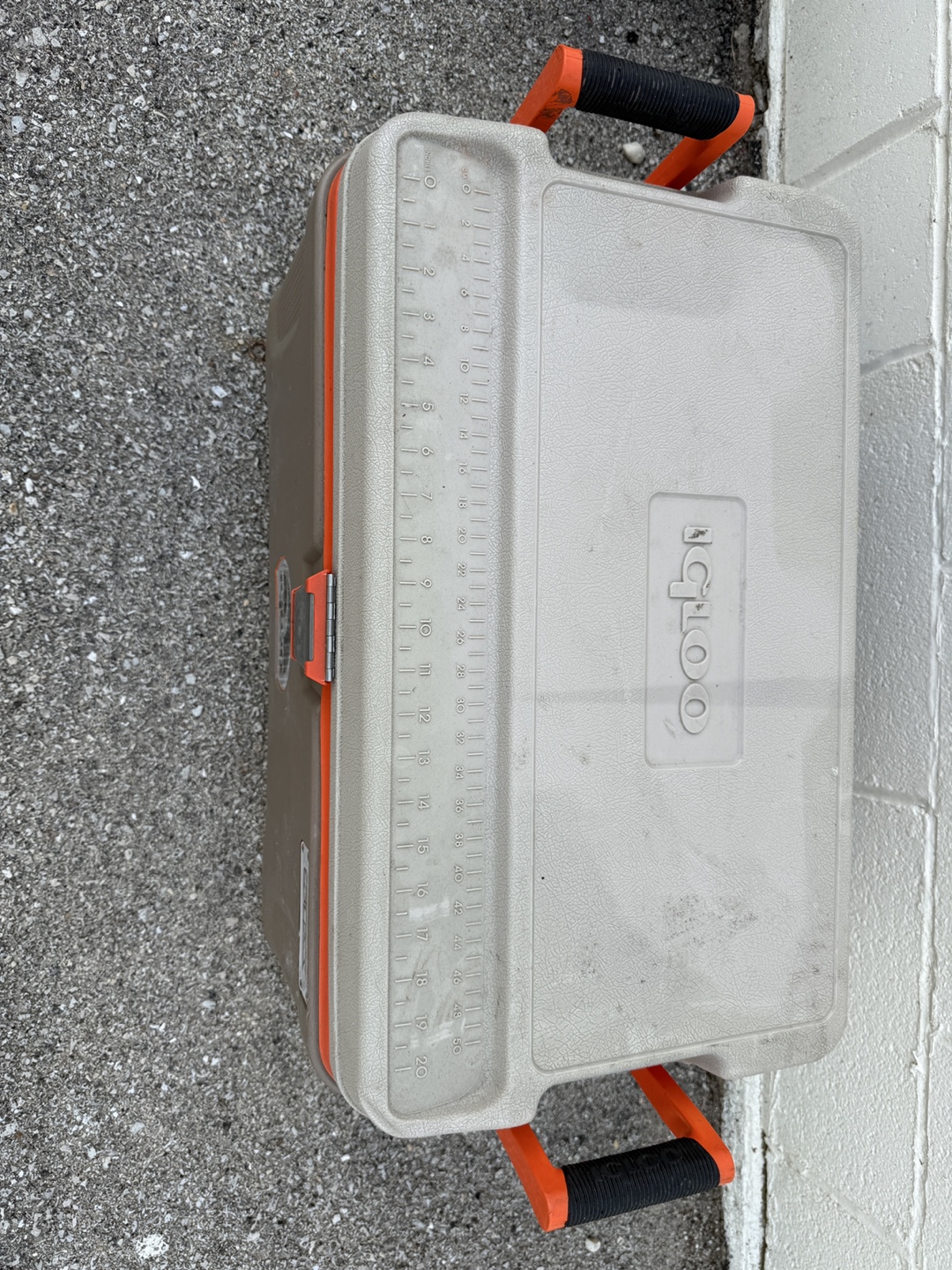 Igloo Supertough 50 Qt. Cooler - photo 4