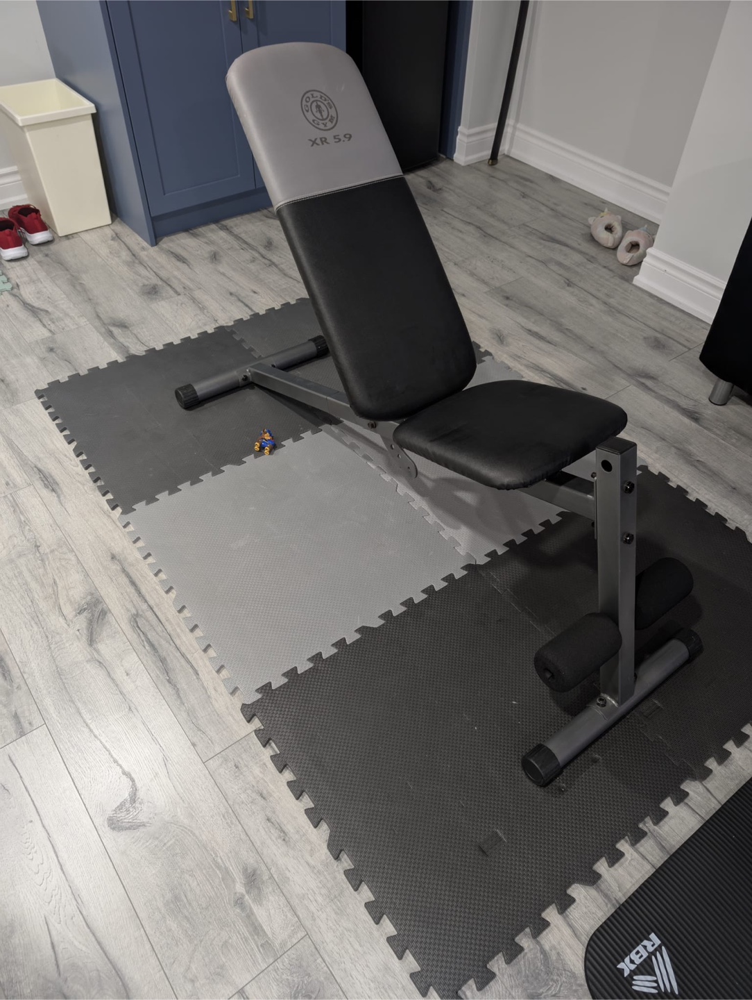Gold's Gym XR 5.9 Weight Bench
