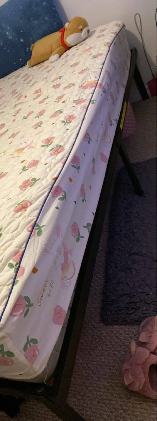 Queen Metal Bed Frame image indicator(3)