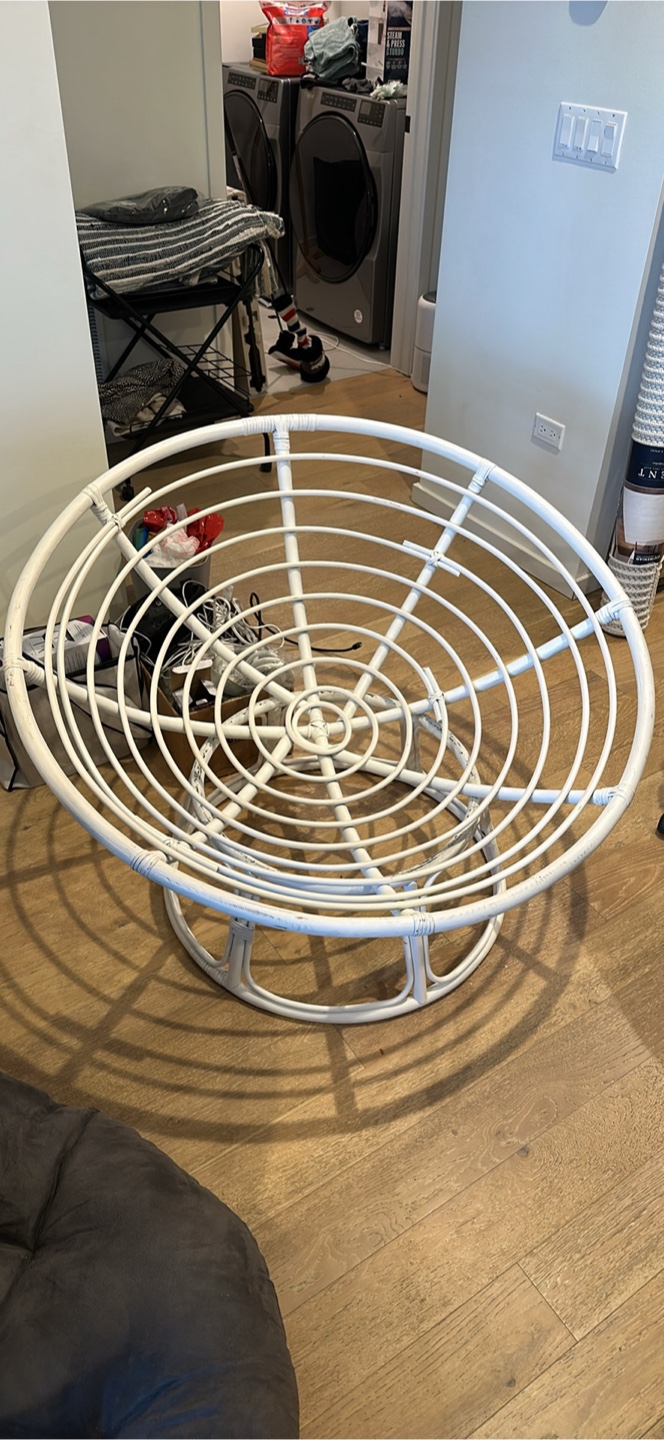 World Market Papasan Chair with Cushion
