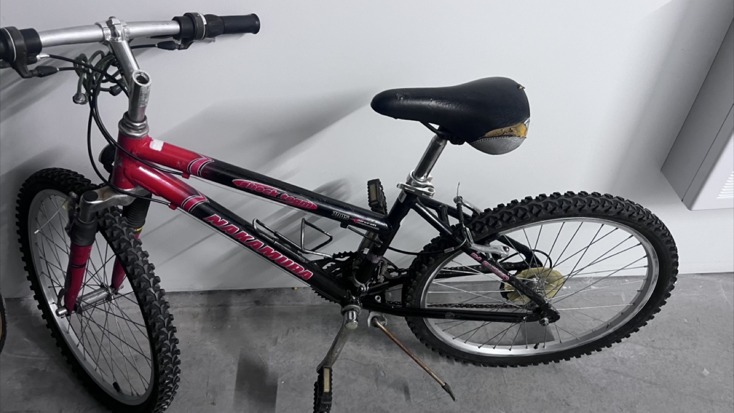 Nakamura Angel Wing Mountain Bike - photo 2
