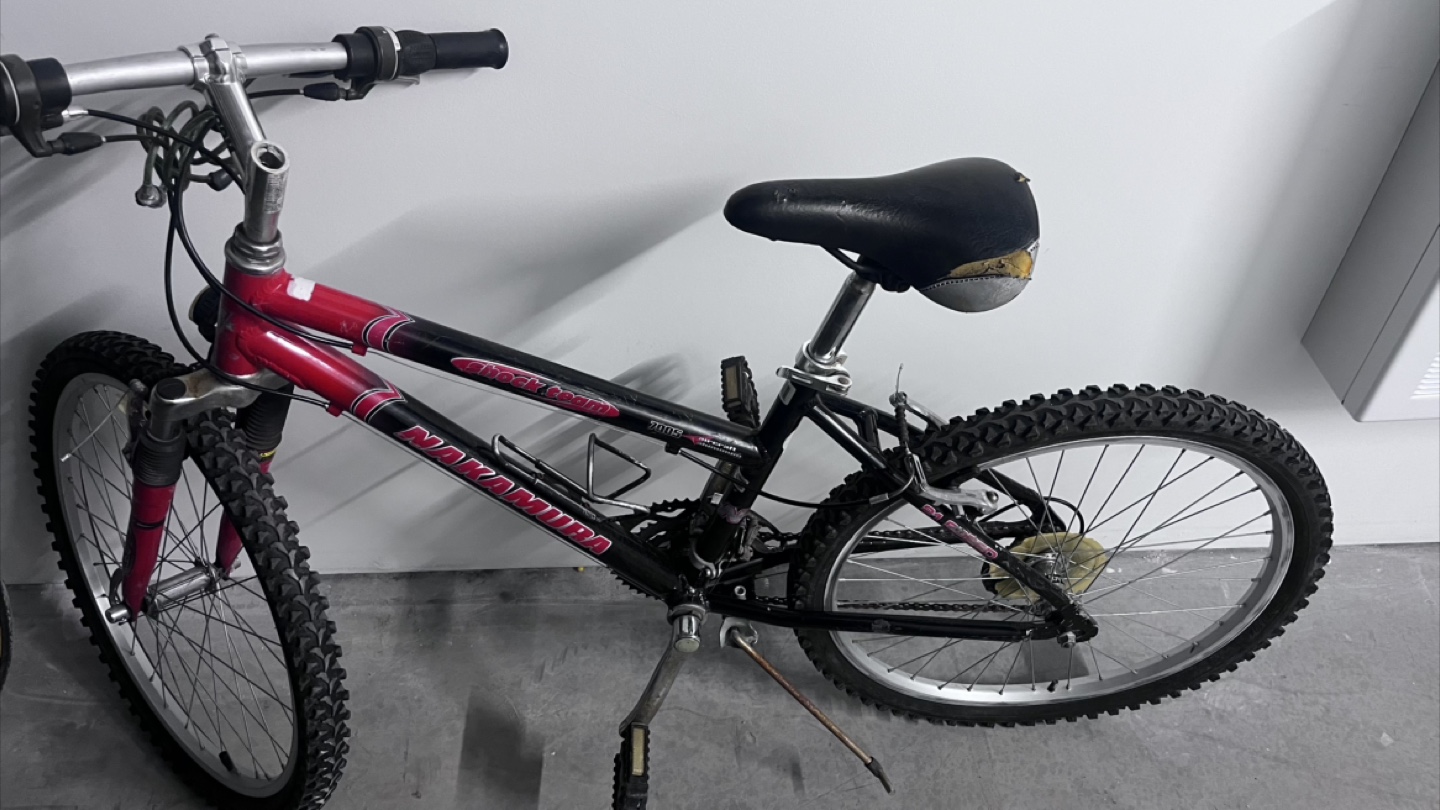 Nakamura Angel Wing Mountain Bike