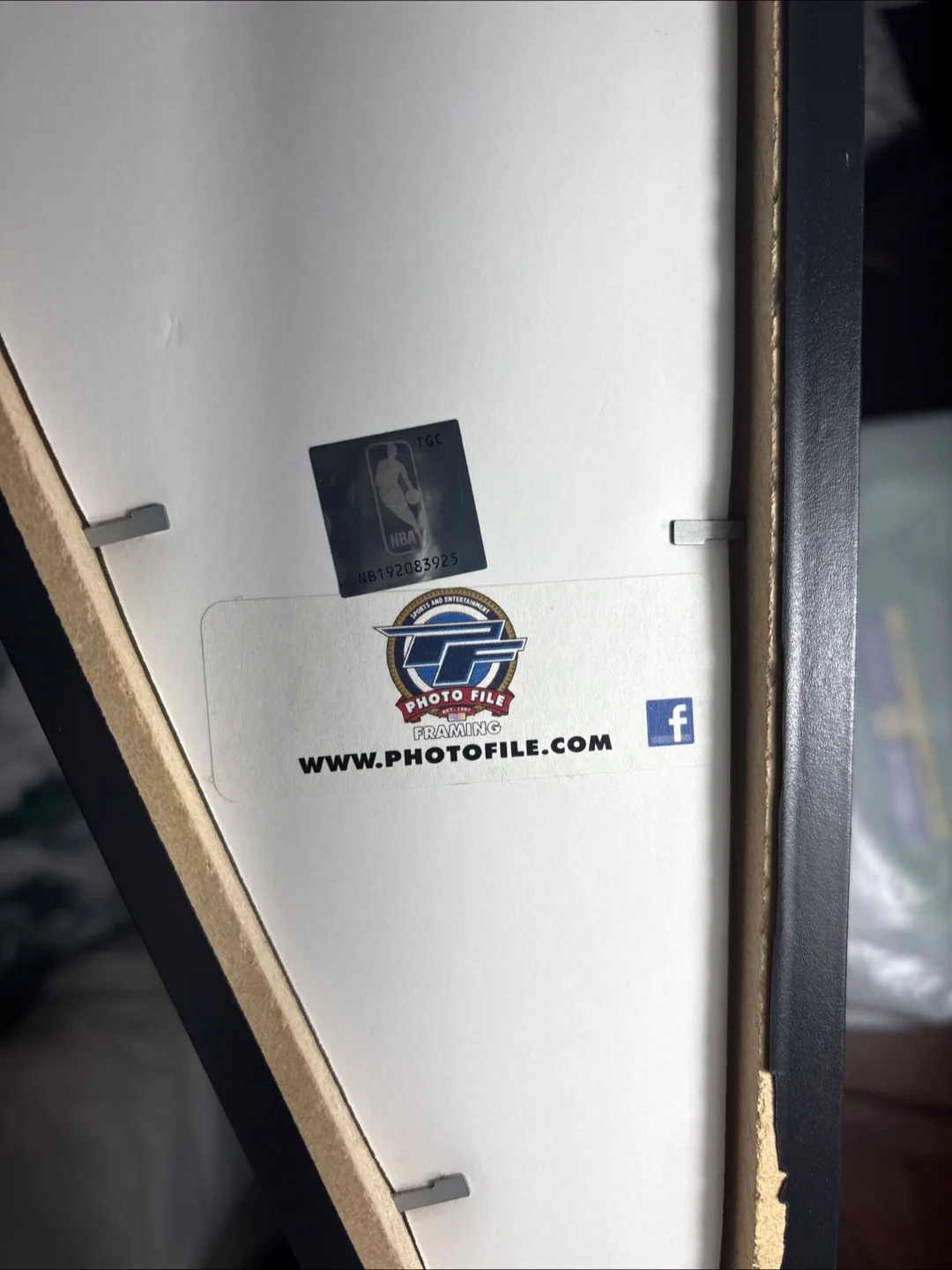 Framed Toronto Raptors 2019 NBA Champions Pennant image indicator(2)