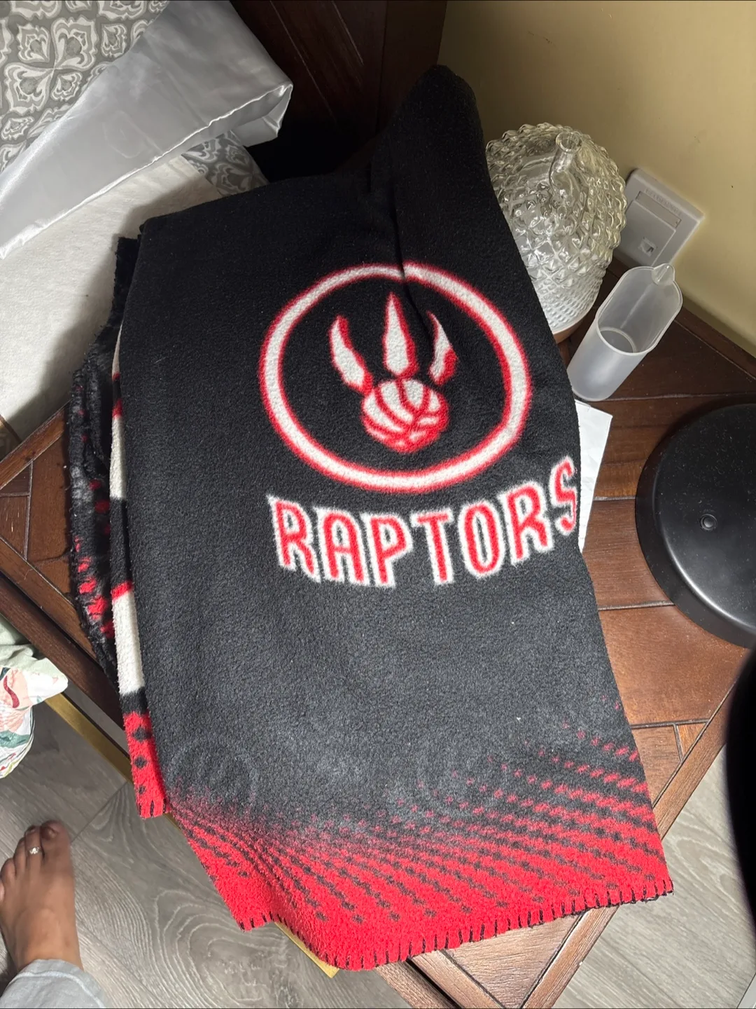 Framed Toronto Raptors 2019 NBA Champions Pennant image indicator(5)
