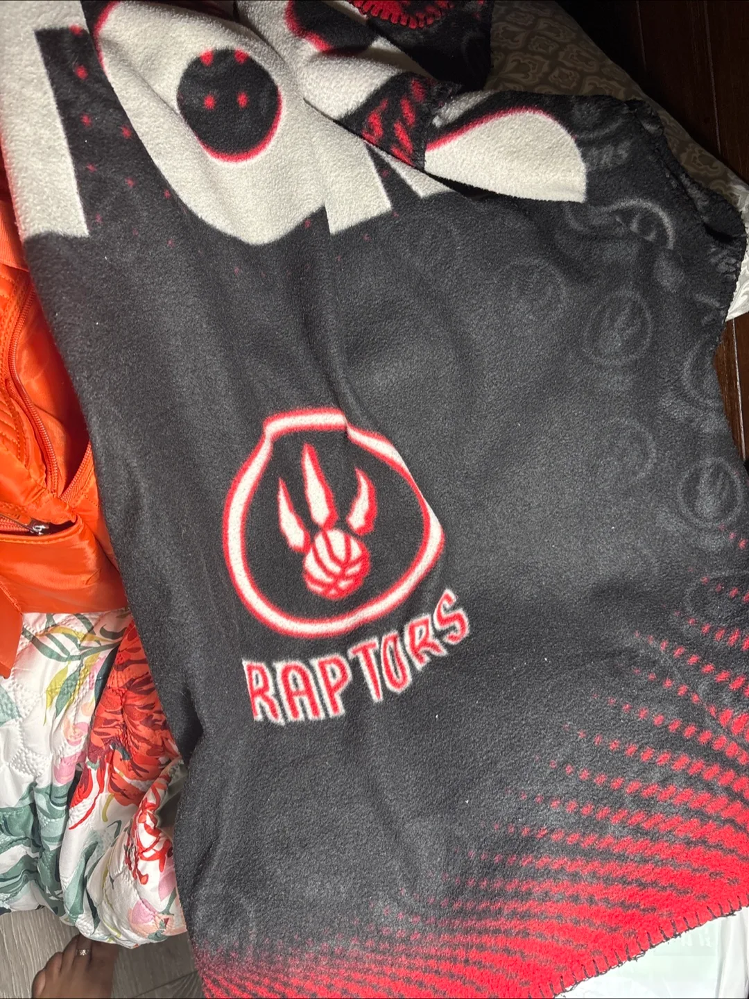 Framed Toronto Raptors 2019 NBA Champions Pennant image indicator(4)