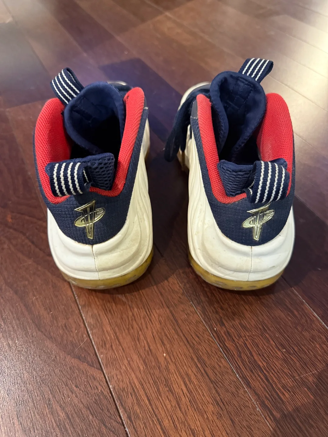 Nike Zoom Flight 95 image indicator(4)